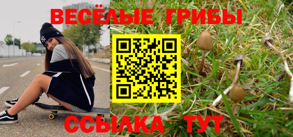 Галлюциногенные грибы ЛСД Мариинск