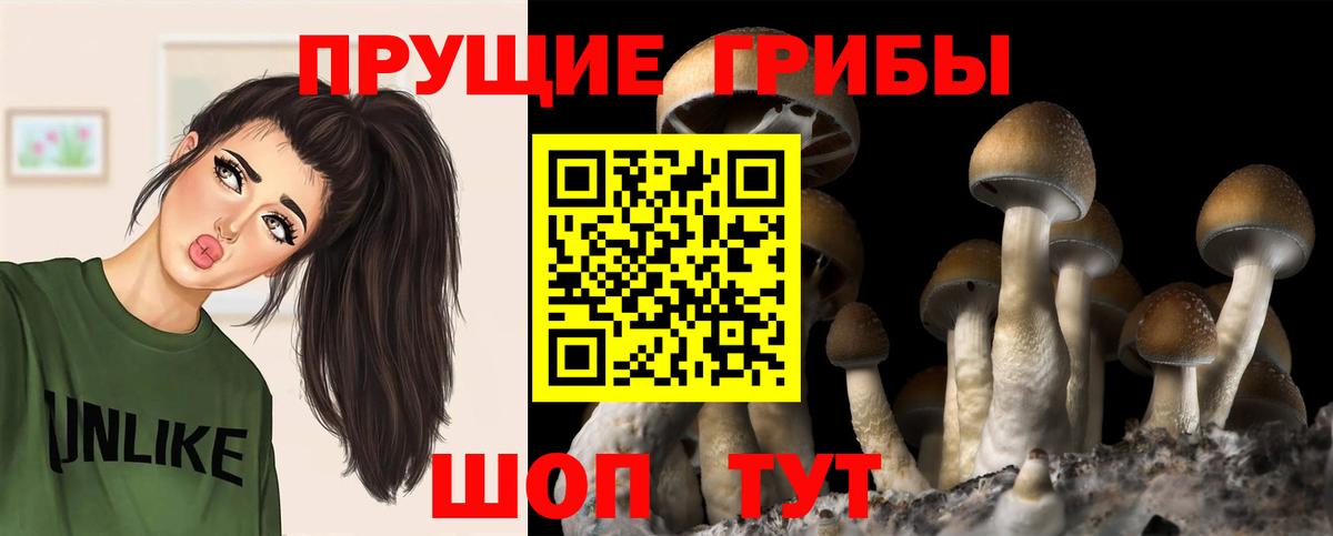 Мариинск  Галлюциногенные грибы мухоморы  Вход с VPN 